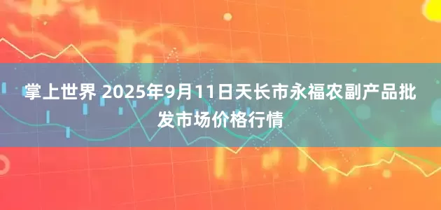 掌上世界 2025年9月11日天长市永福农副产品批发市场价格行情