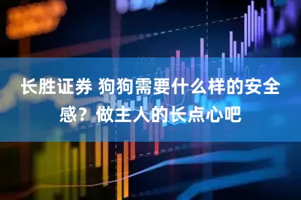 长胜证券 狗狗需要什么样的安全感?做主人的长点心吧