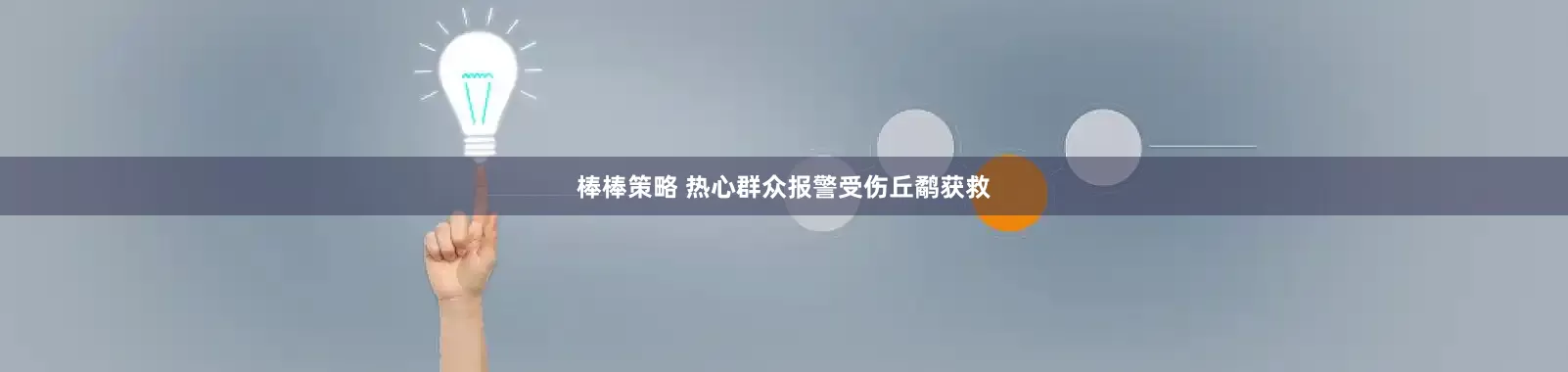 棒棒策略 热心群众报警受伤丘鹬获救